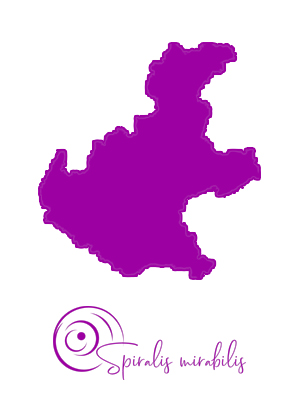 Spiralis Mirabilis - Rivista dedicata alle arti marziali cinesi e alla cultura tradizionale cinese con focus su Tai Chi QiGong e DaoYin
